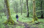 Living with AFib