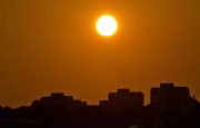 Managing Atrial Fibrillation in Summer